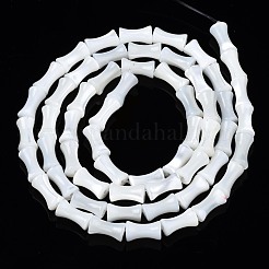Natural Trochid Shell/Trochus Shell Beads Strands&nbsp;SSHEL-N034-93-B01