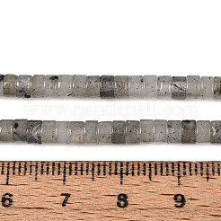 Natural Labradorite Beads Strands&nbsp;G-F631-A38