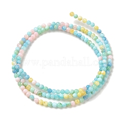 Ice Cream Color Dyed Natural Freshwater Shell Beads Strands&nbsp;X1-SHEL-G018-01C