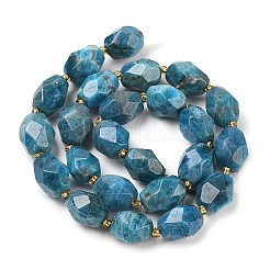 Natural Apatite Beads Strands&nbsp;G-P541-A01-06