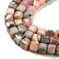 Natural Rhodonite Beads Strands&nbsp;G-Q1005-F-01