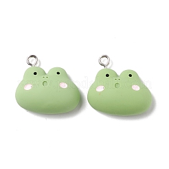 Resin Pendants&nbsp;RESI-K018-05