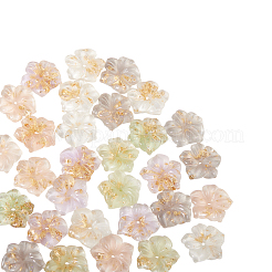 30Pcs 5 Colors Transparent Resin Cabochons&nbsp;RESI-CJ0001-186
