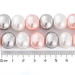 Shell Pearl Beads Strands&nbsp;BSHE-L035-E06
