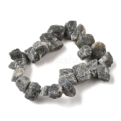 Natural Labradorite Beads Strands&nbsp;G-S386-B04