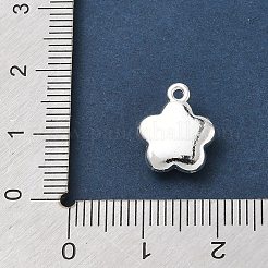 Alloy Charms&nbsp;AL-CBA5B8E-19S