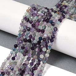 Natural Fluorite Beads Strands&nbsp;G-A252-A01-01