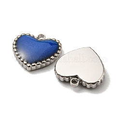 304 Stainless Steel Enamel Charms&nbsp;X-STAS-L022-094P