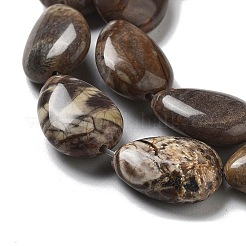 Natural Wealth Stone Beads Strands&nbsp;G-P528-L04-01
