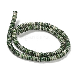 Natural Green Spot Jasper Beads Strands&nbsp;G-Q159-B35-01