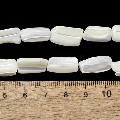 Natural Trochid Shell/Trochus Shell Beads Strands&nbsp;SH-CBA2978-20A