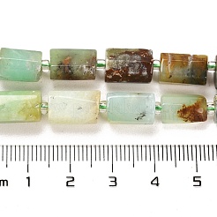 Natural Chrysoprase Beads Strands&nbsp;G-G068-A34-01