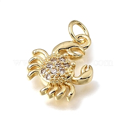 Brass Micro Pave Clear Cubic Zirconia Charms&nbsp;KK-E802-05G