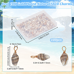 100Pcs Natural Shell Pendants&nbsp;FIND-BBC0003-01