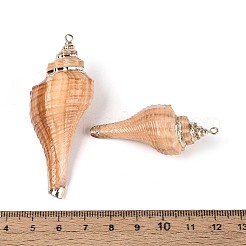 Electroplate Natural Conch Shell Big Pendants&nbsp;SSHEL-T018-06