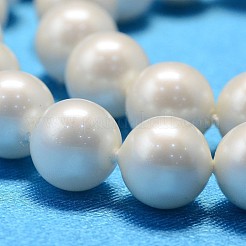 Round Shell Pearl Bead Strands&nbsp;BSHE-L011-12mm-A013A