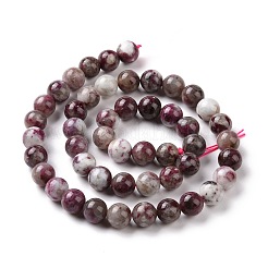 Natural Plum Blossom Tourmaline Beads Strands&nbsp;G-P477-01B-01