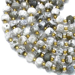 Natural Labradorite Beads Strands&nbsp;G-K389-E41-01