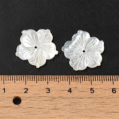 Natural White Shell Beads&nbsp;SHEL-M021-08C