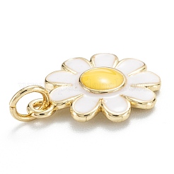 Brass Enamel Pendants&nbsp;KK-M220-04G-B