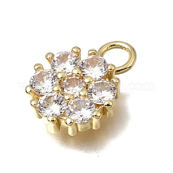 Brass Micro Pave Clear Cubic Zirconia Charms&nbsp;KK-K427-13B-G