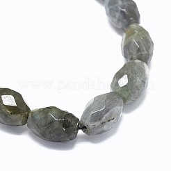 Natural Labradorite Beads Strands&nbsp;G-F632-16A