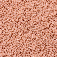 MIYUKI Delica Beads&nbsp;SEED-JP0008-DB2111