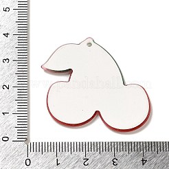 Acrylic Pendants&nbsp;OACR-R270-03E