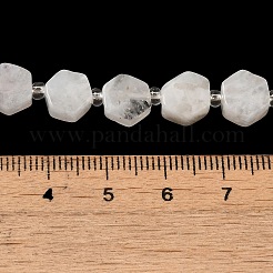 Natural Rainbow Moonstone Beads Strands&nbsp;G-P534-A06-01