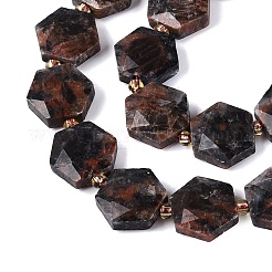 Natural Labradorite Beads Strands&nbsp;G-N368-01A-20