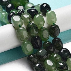 Natural Malaysia Jade Beads Strands&nbsp;G-P528-N03-01