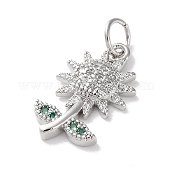 Rack Plating Brass Micro Pave Cubic Zirconia Pendants&nbsp;KK-Z039-10P