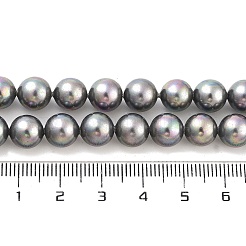 Shell Pearl Bead Strands&nbsp;BSHE-L025-07-8mm