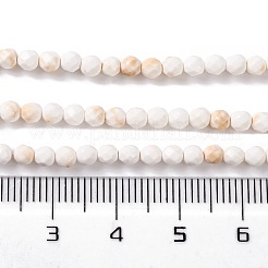 Natural Howlite Beads Strands&nbsp;G-C025-02B-09