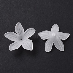 5-Petal Transparent Acrylic Bead Caps&nbsp;OACR-A017-15