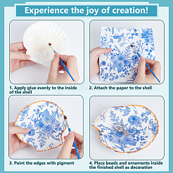 Natural Shell Display Decorations&nbsp;DIY-NB0014-92