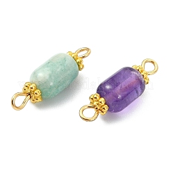 Natural Gemstone Connector Charms&nbsp;PALLOY-JF05820