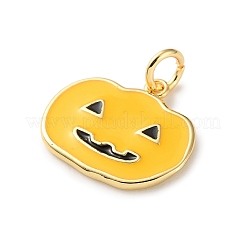Brass Pendants&nbsp;KK-I383-09G-03