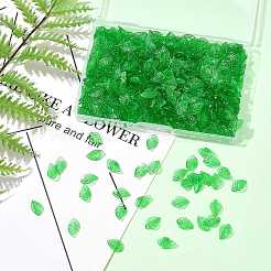 600Pcs Transparent Acrylic Charms&nbsp;TACR-FS0001-62