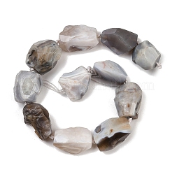 Raw Rough Natural Botswana Agate Beads Strands&nbsp;G-S396-04A