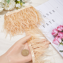 Fashion Ostrich Feather Trimming&nbsp;DIY-GF0008-16A