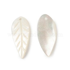 Natural Sea Shell Pendants&nbsp;SSHEL-T012-12