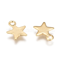 304 Stainless Steel Charms&nbsp;STAS-F159-43G
