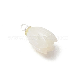 Natural Trochus Shell Pendants&nbsp;PALLOY-JF05371