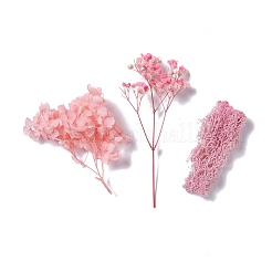Dried Flowers&nbsp;DIY-D052-05