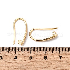 Brass Ear Hooks&nbsp;KK-F916-03G