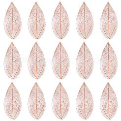 100Pcs Dried Flower Leaf Craft Supplies&nbsp;AJEW-CP0009-41C