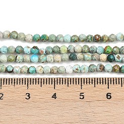 Natural HuBei Turquoise Beads Strands&nbsp;G-L628-B02-3mm-01