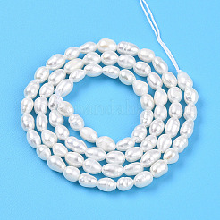 Natural Cultured Freshwater Pearl Beads Strands&nbsp;PEAR-N012-03P-01