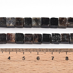 Natural Biotite Beads Strands&nbsp;G-T140-39A